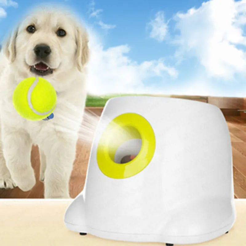 Pet tennis ball outlet launcher