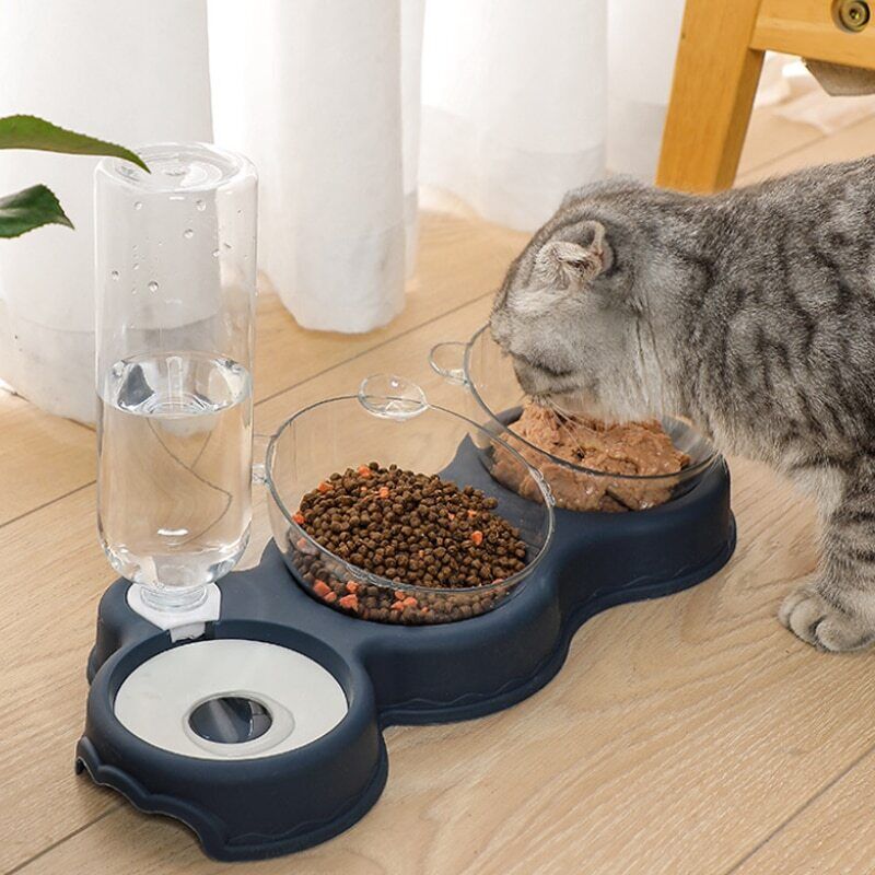 Feed, Hydrate, Delight: The Ultimate Pet Feeder Trio!