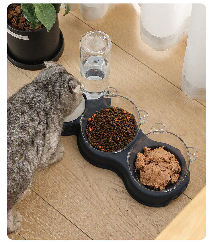 Feed, Hydrate, Delight: The Ultimate Pet Feeder Trio!